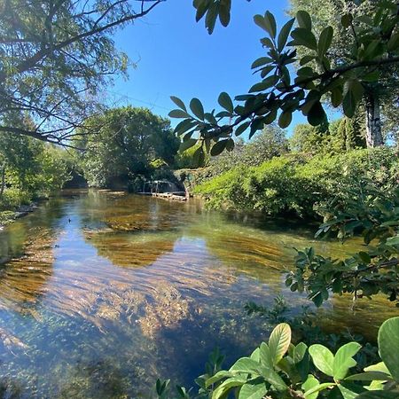 Gite L'Odonate, Partage Des Eaux LʼIsle-sur-la-Sorgue Zewnętrze zdjęcie