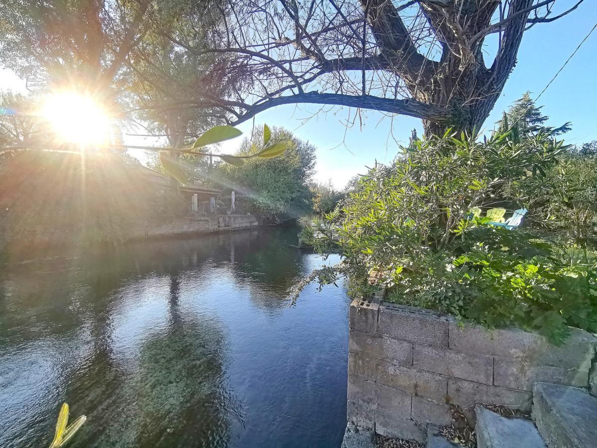 Gite L'Odonate, Partage Des Eaux LʼIsle-sur-la-Sorgue Zewnętrze zdjęcie