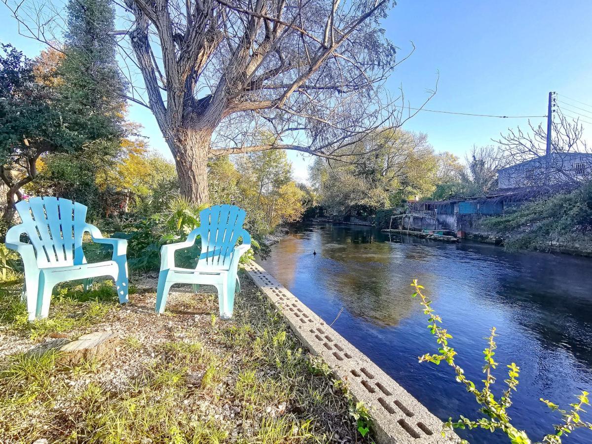 Gite L'Odonate, Partage Des Eaux LʼIsle-sur-la-Sorgue Zewnętrze zdjęcie