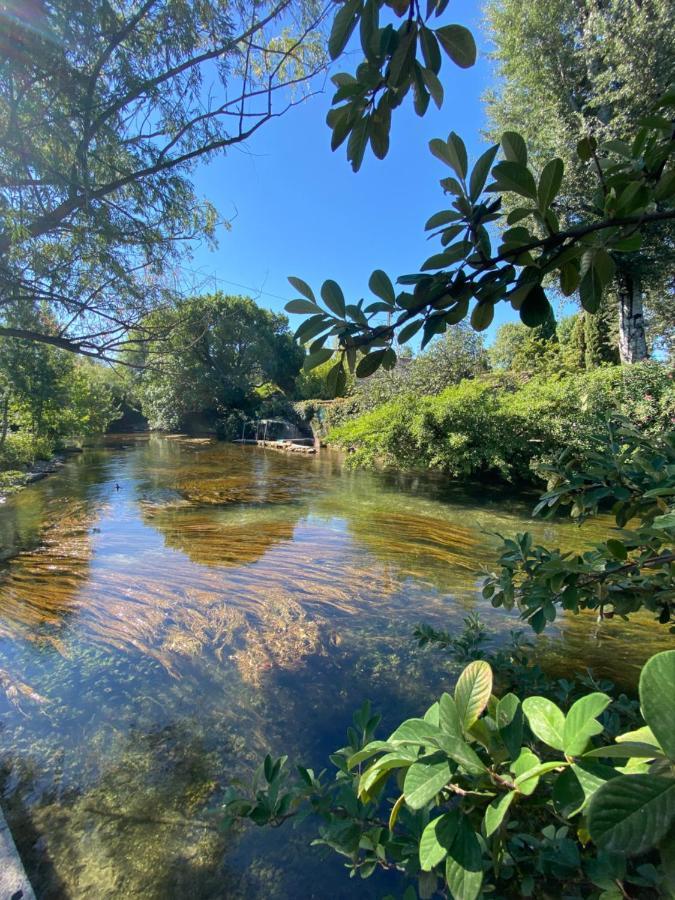 Gite L'Odonate, Partage Des Eaux LʼIsle-sur-la-Sorgue Zewnętrze zdjęcie